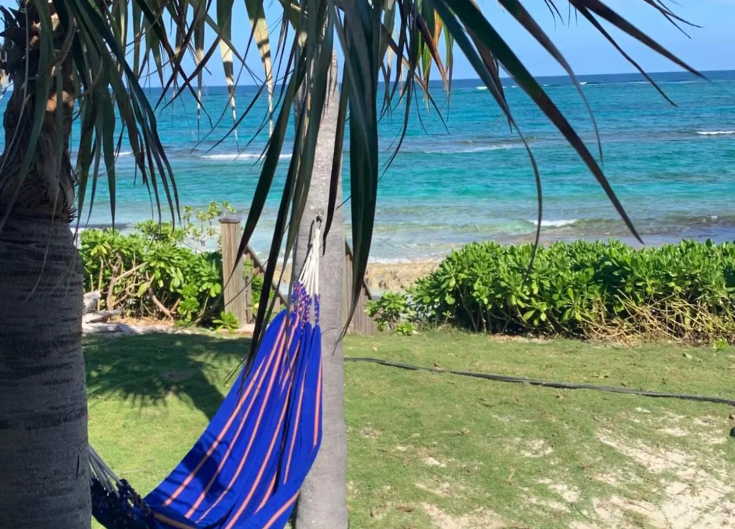 Blue Turtle Cottage Palmetto Point Багамские острова