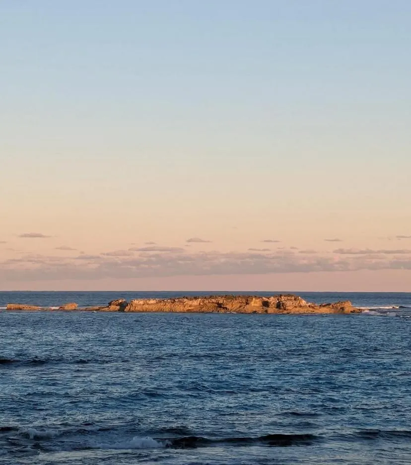 Blue Turtle Cottage Palmetto Point 펜션