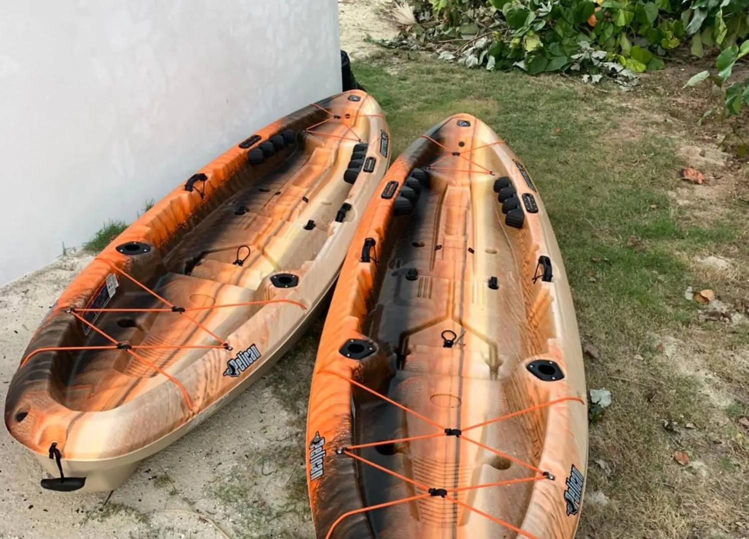 Blue Turtle Cottage Palmetto Point 0*,  바하마